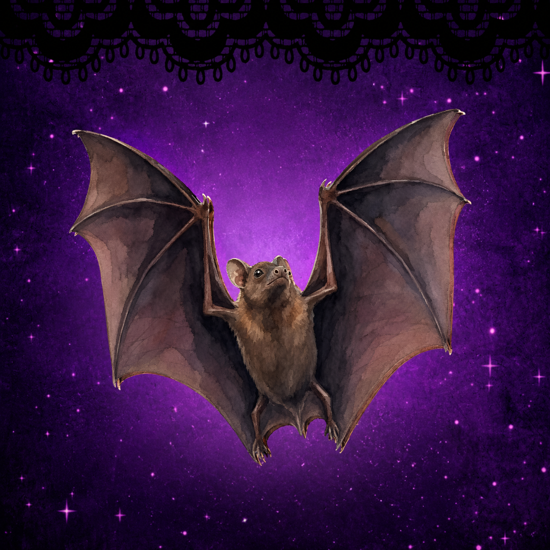 The Vampiric Shadows